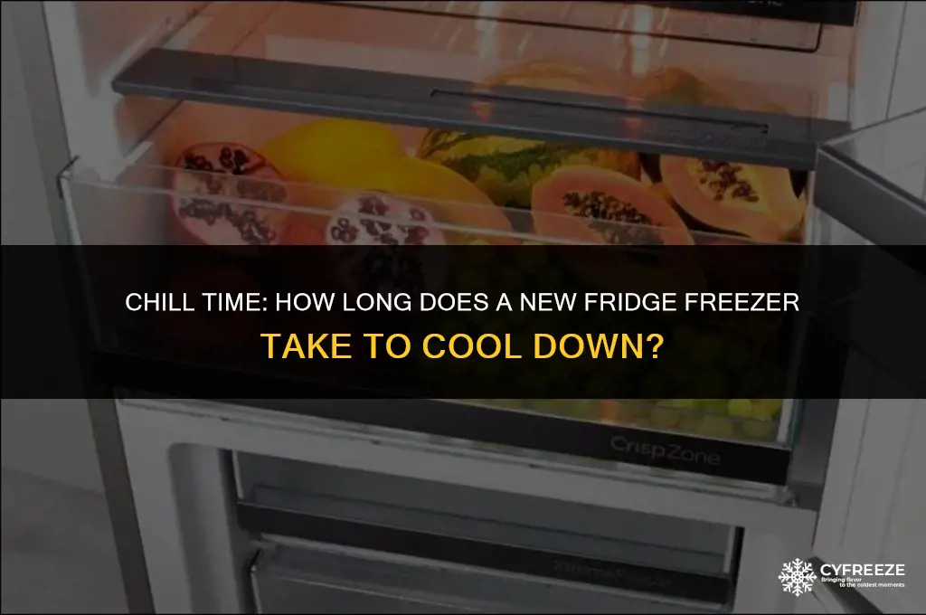 how long does a new fridge freezer take to cool