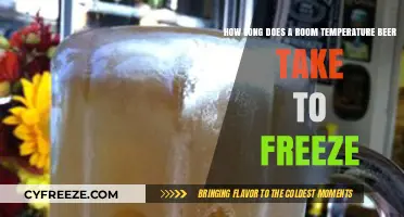Freezing Room Temperature Beer: Timeframe and Tips for Quick Results
