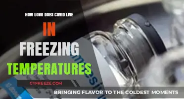 COVID-19 Survival in Freezing Temps: How Long Does It Last?