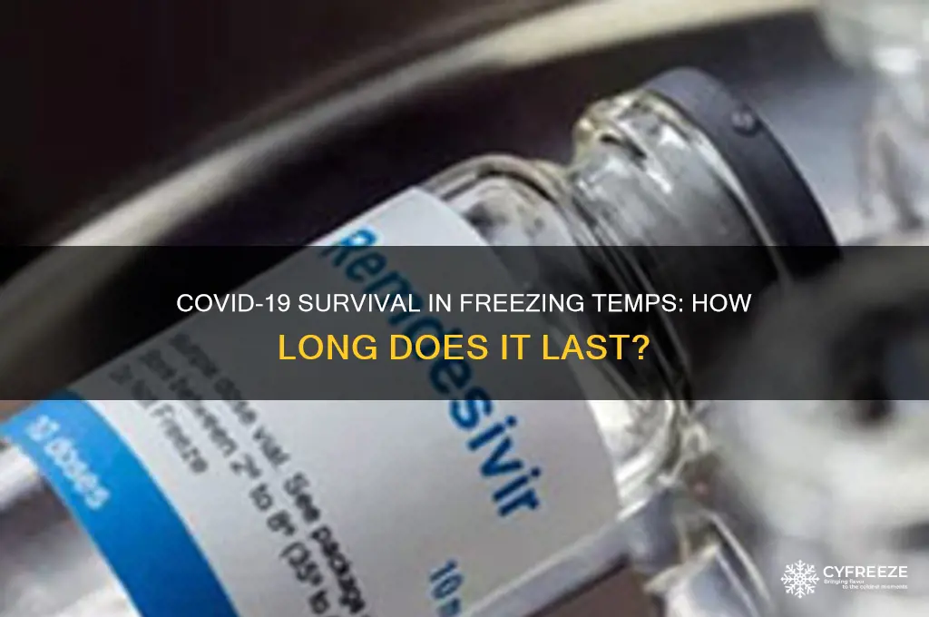 how long does covid live in freezing temperatures