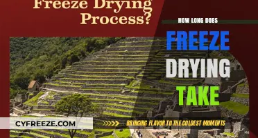 The Freeze Drying Process: A Timeline for Optimal Results