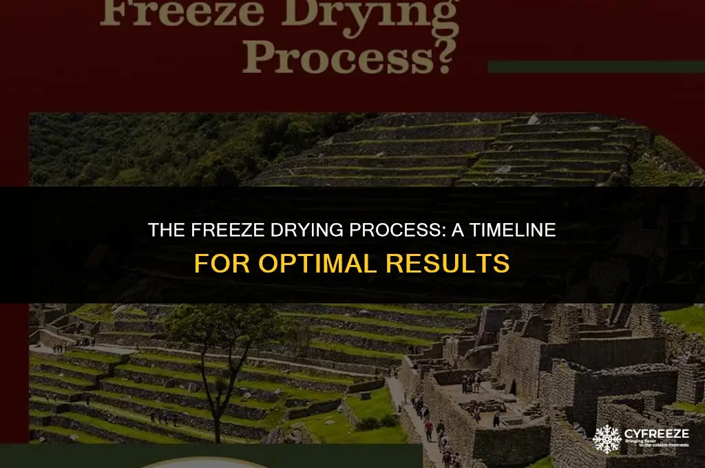 how long does freeze drying take