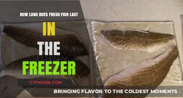 Maximizing Freshness: A Guide to Freezing Fish Properly
