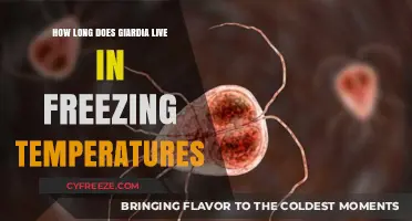 Giardia Survival in Freezing Temps: How Long Does It Last?