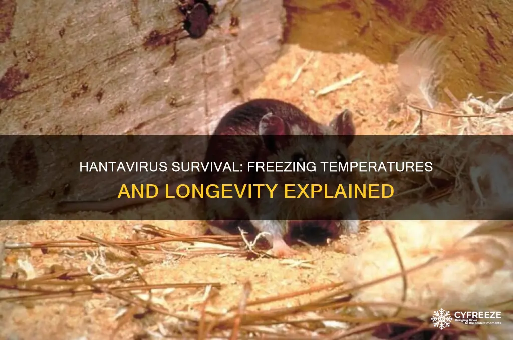 how long does hantavirus live and freezing temperatures