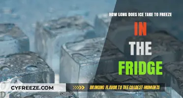 Chill Time: The Ultimate Guide to Freezing Ice Quickly and Safely