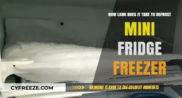Defrosting Your Mini Fridge Freezer: A Quick and Easy Guide