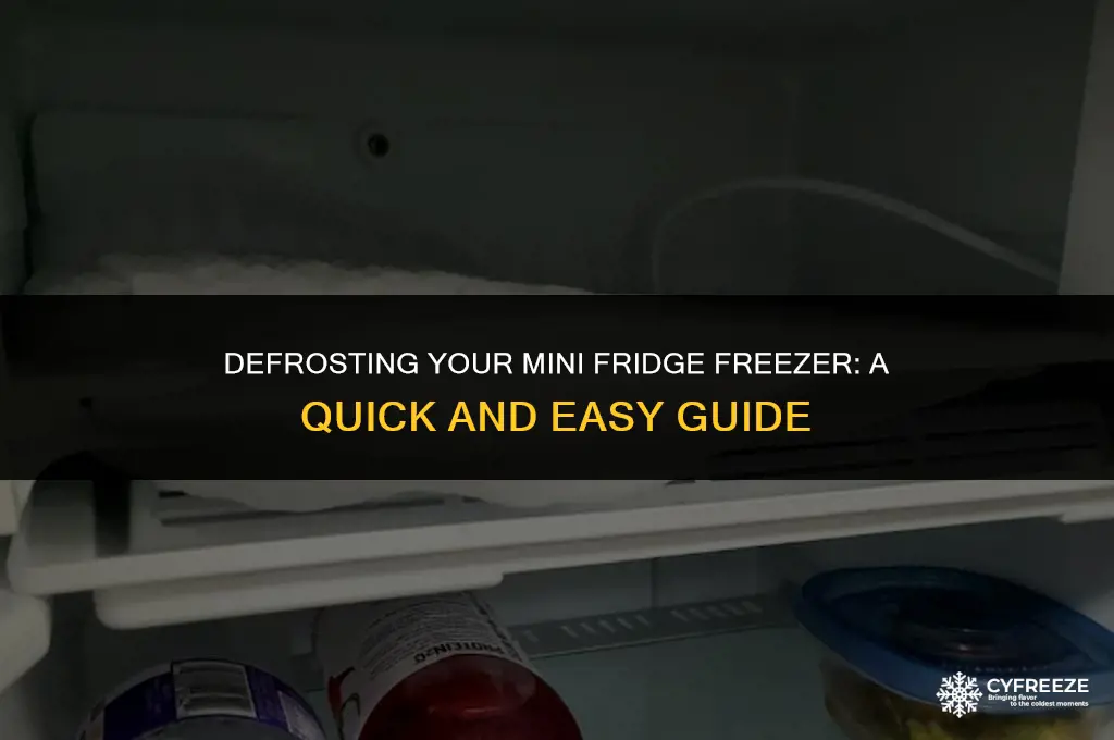 how long does it take to defrost mini fridge freezer