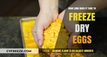 The Ultimate Guide to Freeze-Drying Eggs: A Step-by-Step Process