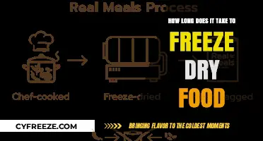 From Fresh to Frozen: The Speedy Process of Freeze-Drying Food