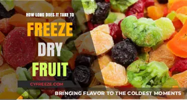 From Orchard to Pantry: The Freeze-Drying Fruit Journey
