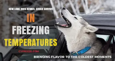 Kennel Cough Survival in Freezing Temps: Duration and Risks
