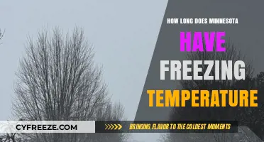 Minnesota's Freezing Temperatures: Duration and Seasonal Impact Explained