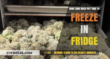 From Fresh to Frozen: The Ultimate Guide to Storing Cannabis
