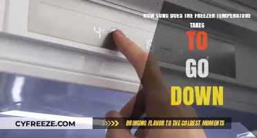 How Quickly Does Freezer Temperature Drop After Opening or Adjusting?