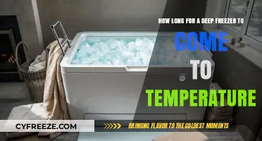 Deep Freezer Temperature Recovery Time: What to Expect