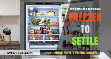 Time for Your New Fridge Freezer to Settle In: A Guide