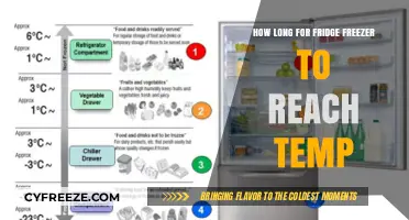 Chill Factor: The Optimal Time for Your Fridge Freezer to Reach Temperature