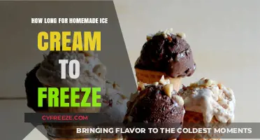 From Cream to Freeze: The Homemade Ice Cream Journey