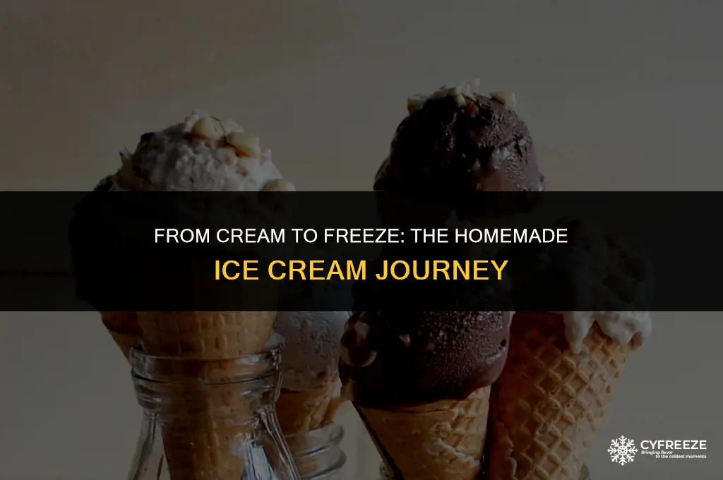 how long for homemade ice cream to freeze