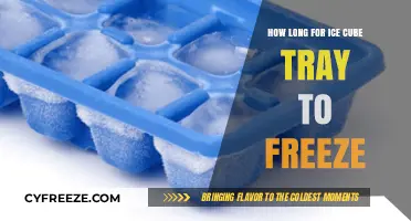 Chill Out: The Ultimate Guide to Freezing Ice Cube Trays Quickly