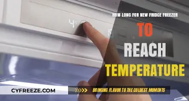 How Long Does a New Fridge Freezer Take to Cool Down?