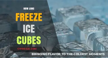 Chill Perfection: Mastering the Art of Freezing Ice Cubes