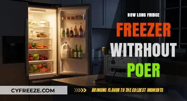 Surviving a Power Outage: How Long Will Your Fridge and Freezer Last?