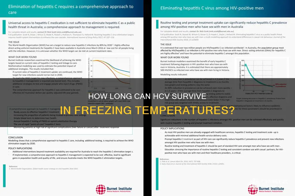 how long hcv live freezing temperature