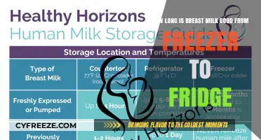 From Freezer to Fridge: The Shelf Life of Breast Milk