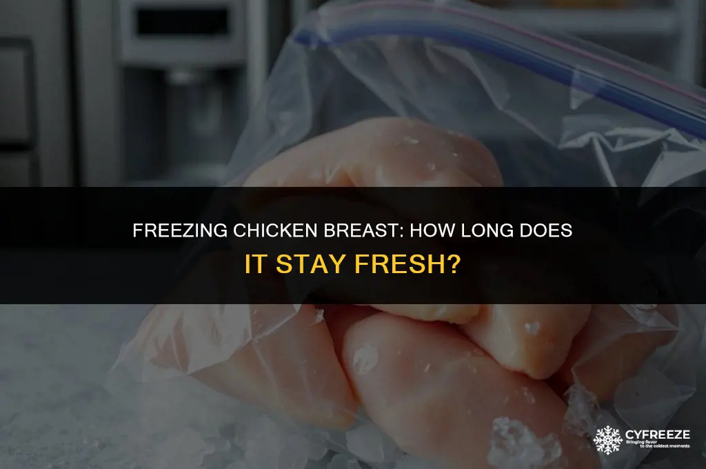 how long is chicken breast good in the freezer