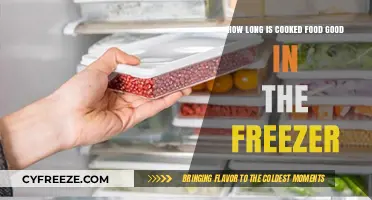 Shelf Life of Cooked Food in the Freezer: A Comprehensive Guide
