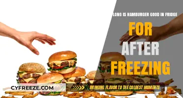 The Shelf Life of Frozen Hamburgers: A Comprehensive Guide