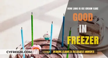 The Sweet Shelf Life: How Long Does Ice Cream Cake Last in the Freezer?
