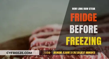 From Fridge to Freeze: Optimal Time for Raw Steak Storage