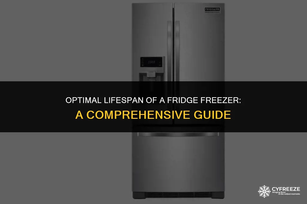 how long should a fridge freezer run for