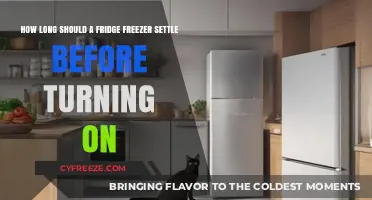 Optimal Rest Time: When to Power On Your New Fridge Freezer