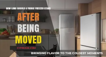 Settling In: The Ideal Waiting Period for Your New Fridge Freezer