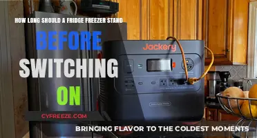 Optimal Waiting Time: When to Power On Your New Fridge Freezer