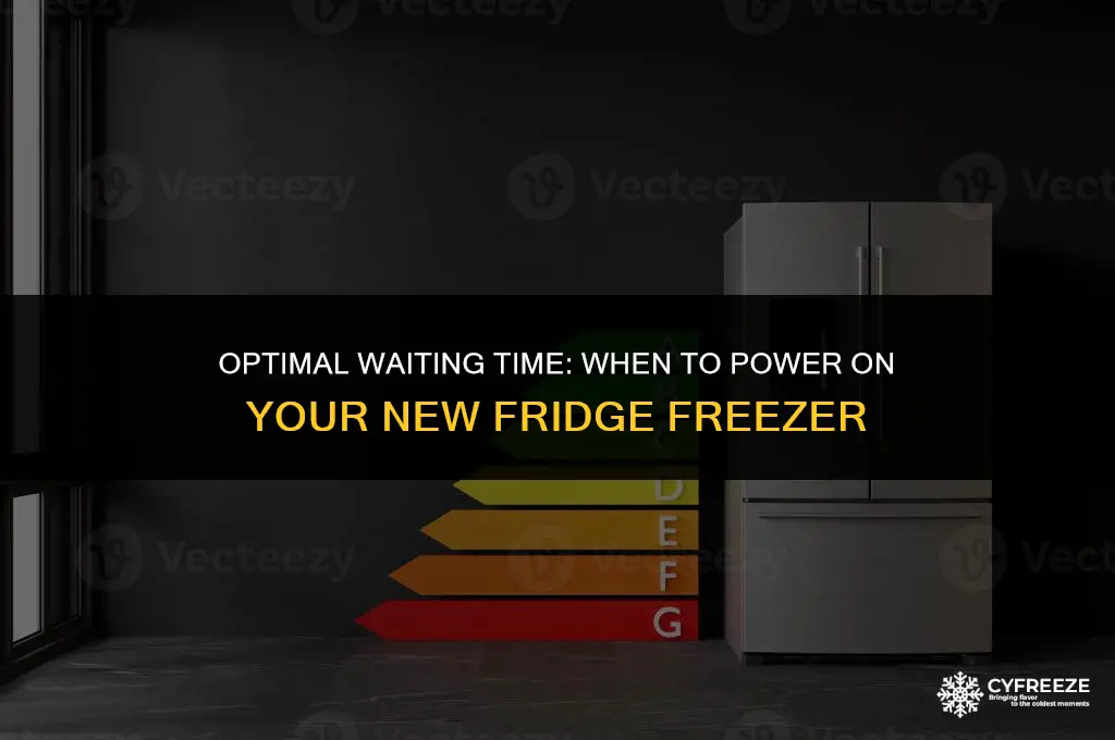 how long should a fridge freezer stand before switching on