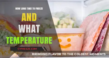 Freezing Times and Temperatures: A Comprehensive Guide for Optimal Results