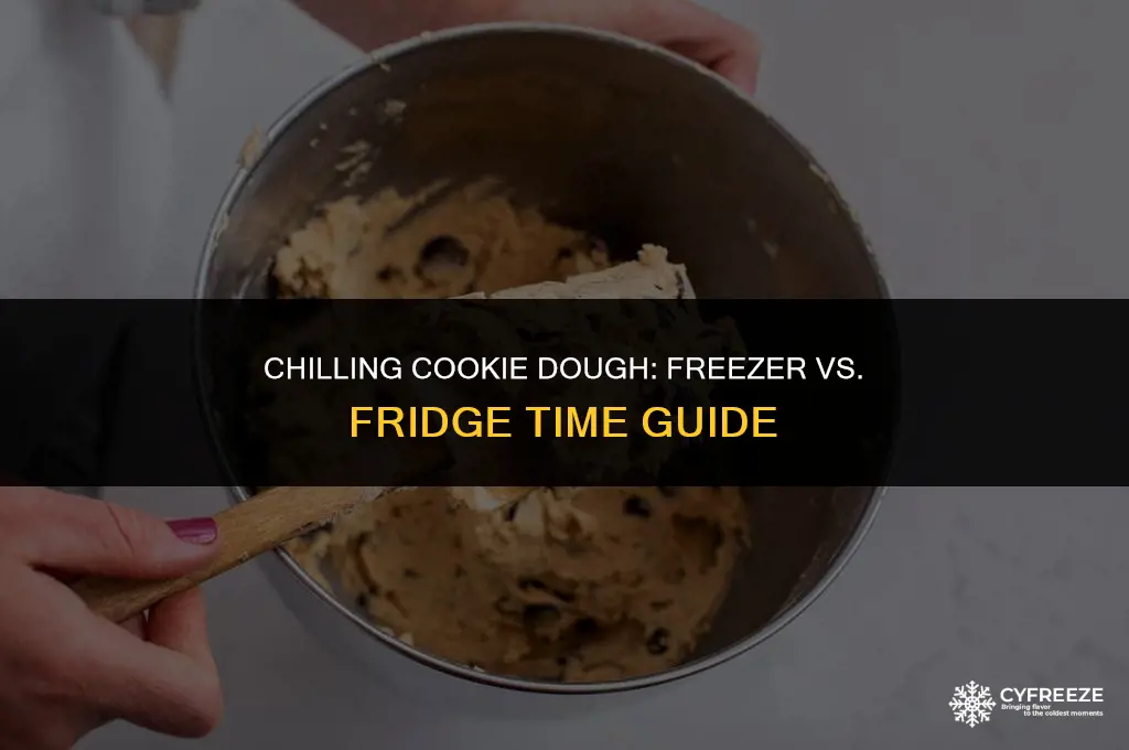 how long to chill cookie dough in freezer vs fridge