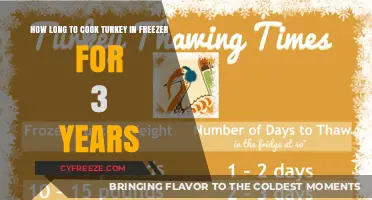 Reviving Frozen Feast: Safe Thawing and Cooking of Turkey After 3 Years