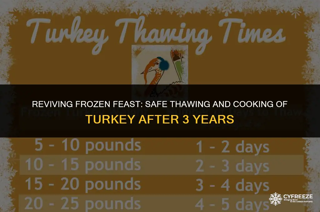 how long to cook turkey in freezer for 3 years
