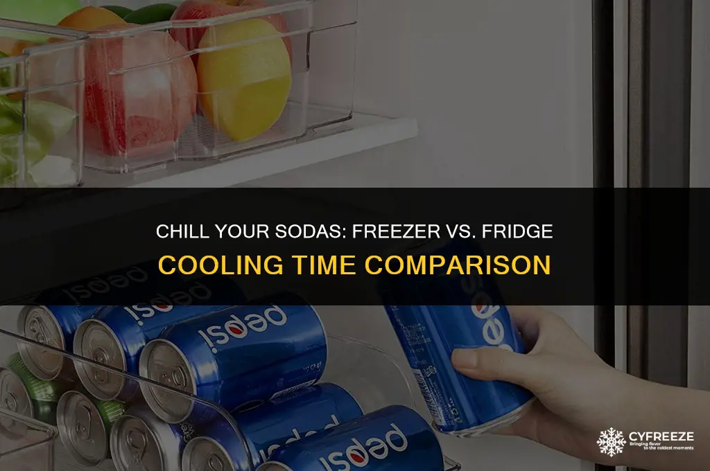 how long to cool sodas in freezer vs fridge