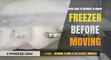 Defrosting Your Fridge Freezer: A Pre-Move Checklist