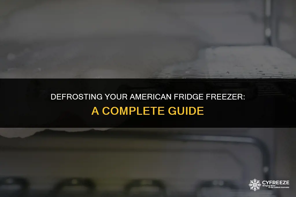 how long to defrost american fridge freezer
