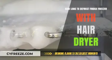 Defrosting Your Fridge Freezer with a Hair Dryer: A Quick Guide