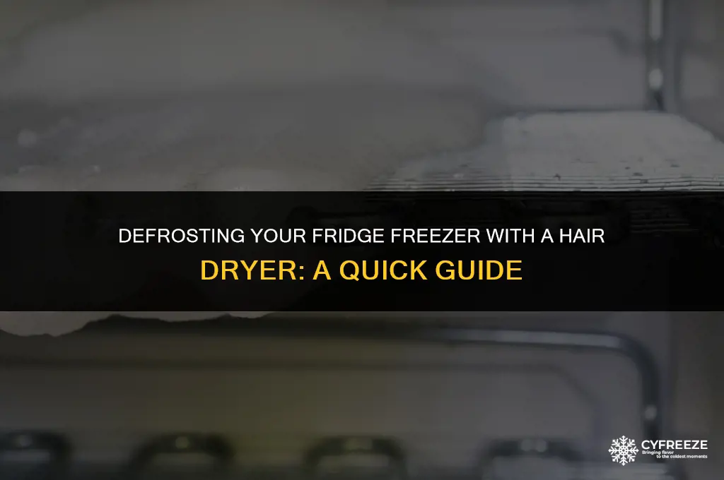 how long to defrost fridge freezer with hair dryer