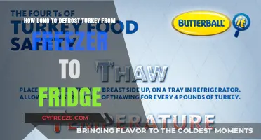 Safe Thawing: A Guide to Defrosting Turkey from Freezer to Fridge